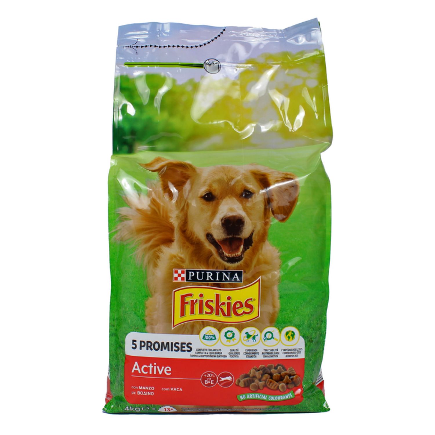 Friskies Crocchette Cane Active 4 kg