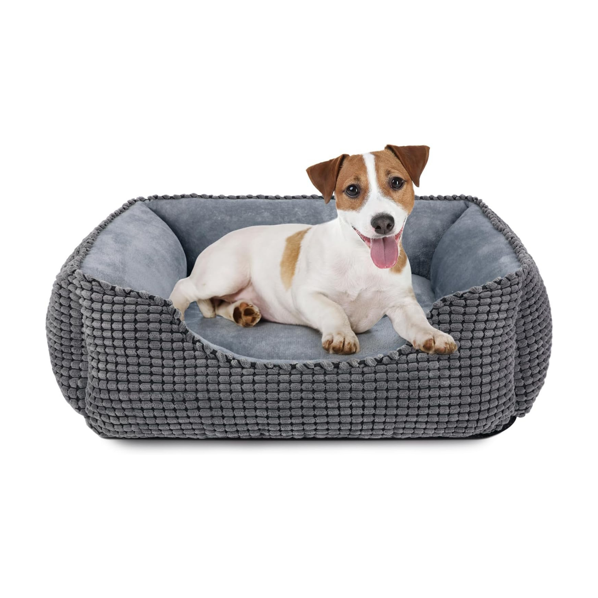 JOEJOY Cuccia Cane Interno Grigia 63x53x20 cm