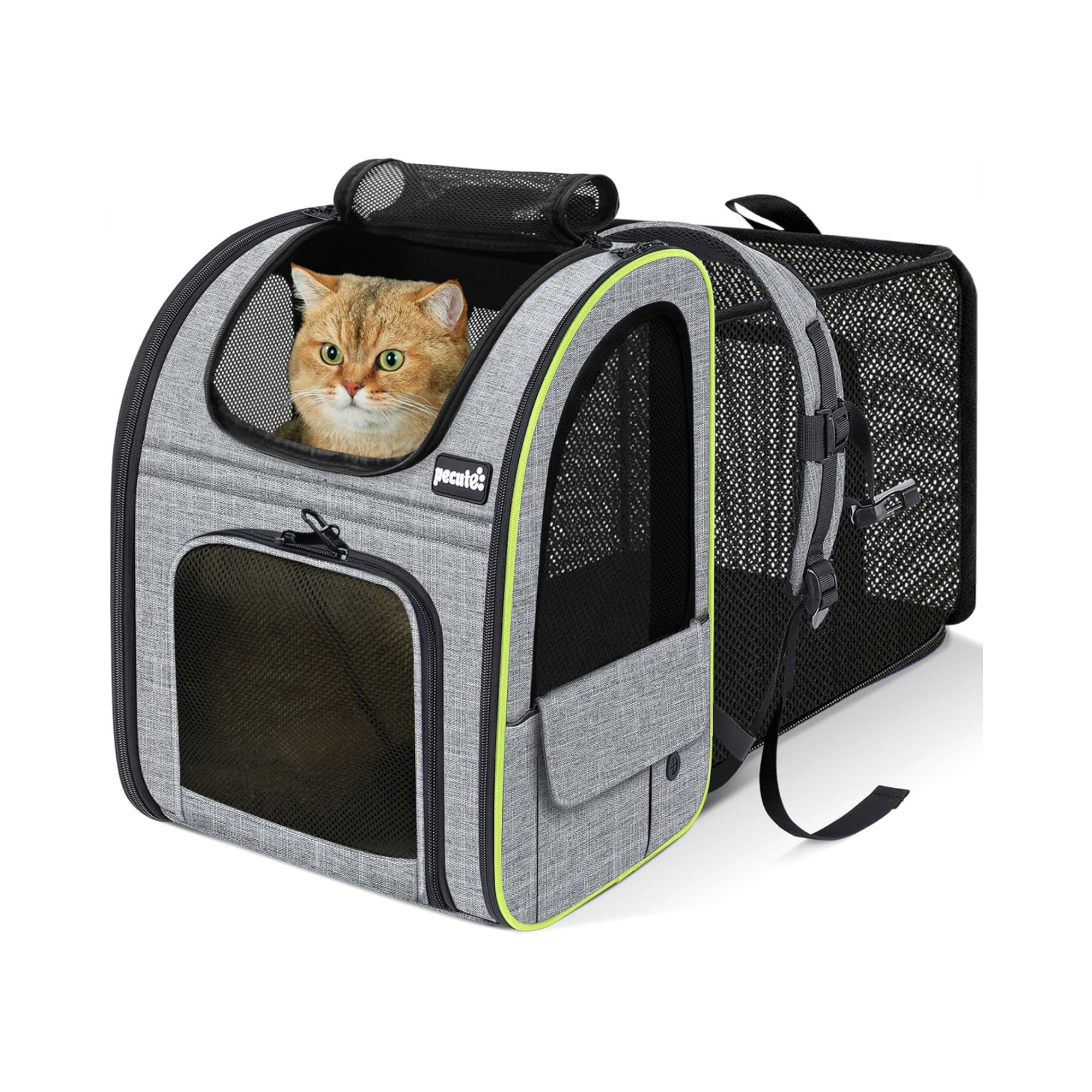 Pecute Zaino Trasportino Estensibile per Cani e Gatti