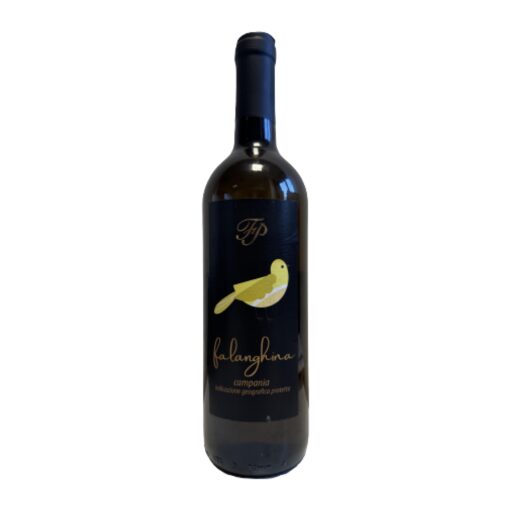 Falanghina Campania IGP Azienda Vinicola Pedata 75 cl